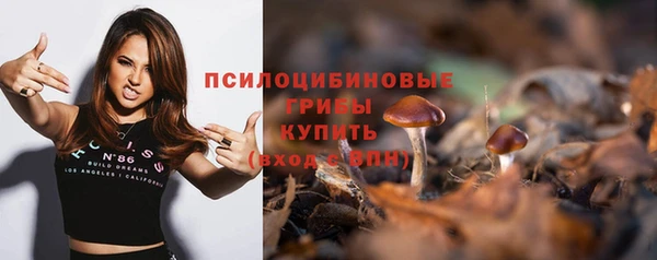 не бодяженный Белокуриха