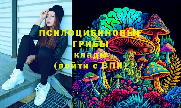 ECSTASY Богородицк