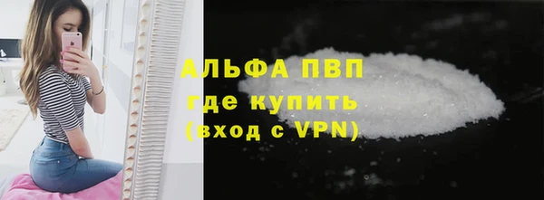 ECSTASY Богородицк