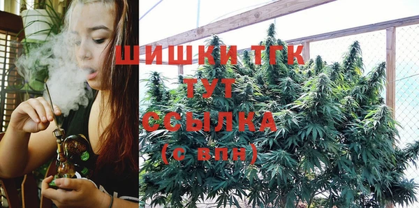 ECSTASY Богородицк
