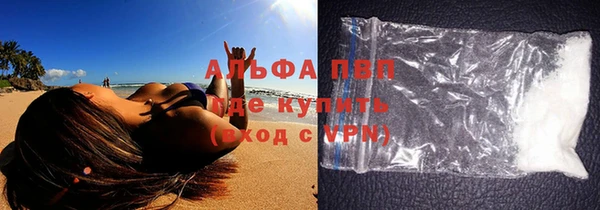 ECSTASY Богородицк