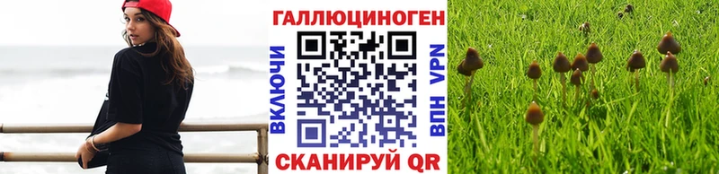 Псилоцибиновые грибы Magic Shrooms кракен ONION Дрезна